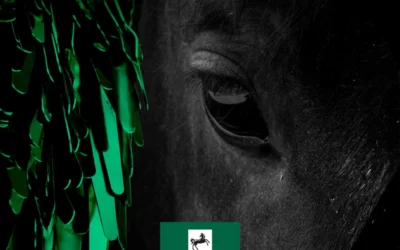 Express and Star – Banks supports manufacturer’s move into sculptures